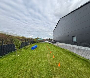 mobile-hundeschule-köln-trainingsgelände